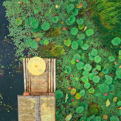 云南昆明+腾冲+和顺古镇景区6日5晚拼小团 云南昆明+腾冲+和顺古镇景区6日5晚拼小团