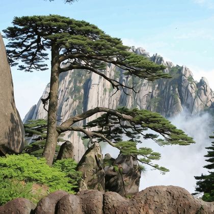 江西庐山+景德镇+婺源篁岭景区+黄山+宏村+西递7日6晚跟团游 江西庐山+景德镇+婺源篁岭景区+黄山+宏村+西递7日6晚跟团游