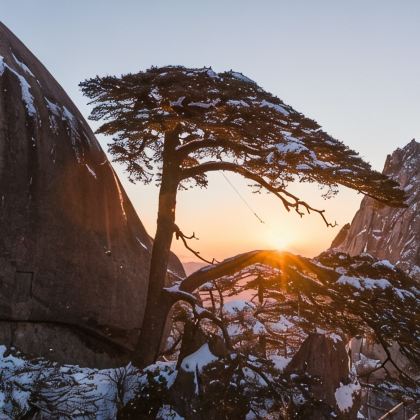 上海+西栅夜游+杭州+横店影视城+千岛湖+黄山风景区+婺源篁岭+宏村景区9日8晚跟团游 上海+西栅夜游+杭州+横店影视城+千岛湖+黄山风景区+婺源篁岭+宏村景区9日8晚跟团游
