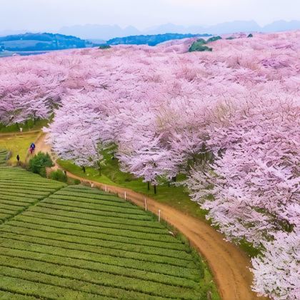 黄果树景区+荔波小七孔景区+荔波大七孔景区6日5晚私家团 黄果树景区+荔波小七孔景区+荔波大七孔景区6日5晚私家团
