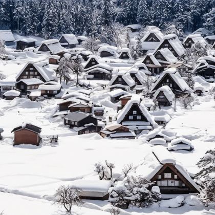 日本关东地区+东京7日6晚私家团 日本关东地区+东京7日6晚私家团