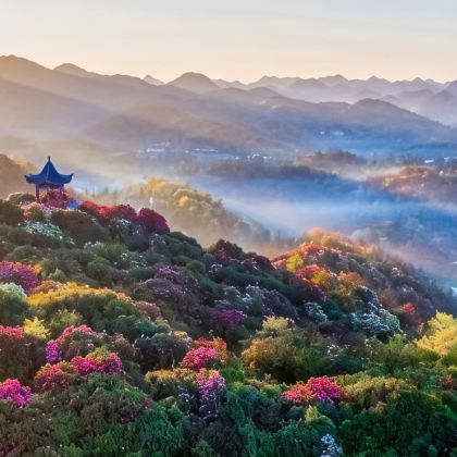 贵州贵阳+百里杜鹃风景区+织金洞2日1晚私家团 贵州贵阳+百里杜鹃风景区+织金洞2日1晚私家团