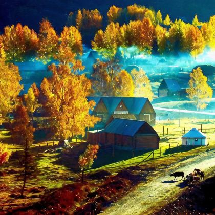 新疆北疆+喀纳斯景区+禾木风景区+白哈巴景区3日2晚私家团 新疆北疆+喀纳斯景区+禾木风景区+白哈巴景区3日2晚私家团