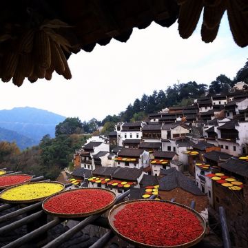 千岛湖+宏村+西递+婺源篁岭景区5日4晚跟团游 千岛湖+宏村+西递+婺源篁岭景区5日4晚跟团游