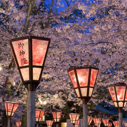 日本东京+富士山+箱根2日1晚拼小团 日本东京+富士山+箱根2日1晚拼小团