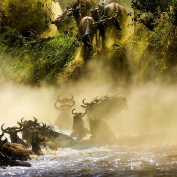 肯尼亚三大国家公园+坦桑尼亚两大国家公园+桑给巴尔岛14日跟团游 肯尼亚三大国家公园+坦桑尼亚两大国家公园+桑给巴尔岛14日跟团游