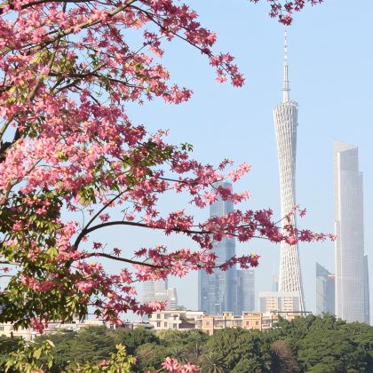 广东广州+珠海+深圳+惠州5日4晚跟团游 广东广州+珠海+深圳+惠州5日4晚跟团游