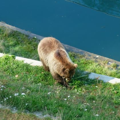 德国+瑞士+奥地利10日私家团 德国+瑞士+奥地利10日私家团