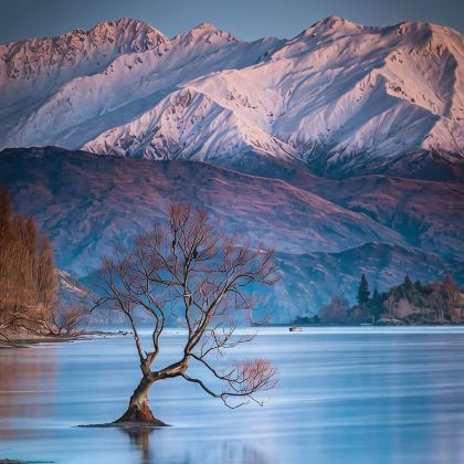 新西兰皇后镇+福克斯冰川镇+格雷茅斯+基督城+阿卡罗阿+特卡波12日11晚私家团 新西兰皇后镇+福克斯冰川镇+格雷茅斯+基督城+阿卡罗阿+特卡波12日11晚私家团