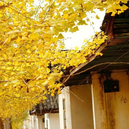 广东韶关3日2晚拼小团 广东韶关3日2晚拼小团