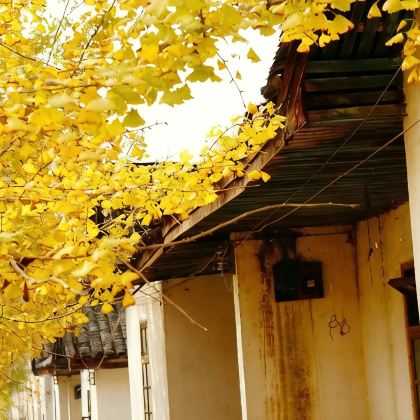 广东韶关3日2晚拼小团 广东韶关3日2晚拼小团