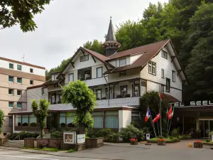 锡拉哈尔兹 Spa 酒店(Harz Hotel & Spa Seela)