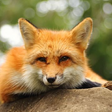 仙台+山形3日2晚自由行 仙台+山形3日2晚自由行