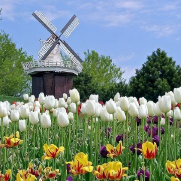 荷兰+比利时+德国10日8晚私家团 荷兰+比利时+德国10日8晚私家团