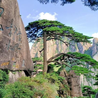 安徽黄山+宏村3日2晚跟团游 安徽黄山+宏村3日2晚跟团游