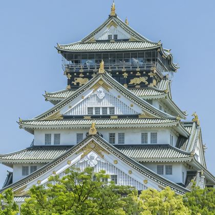 日本东京+富士山+大阪+京都+奈良市8日7晚跟团游 日本东京+富士山+大阪+京都+奈良市8日7晚跟团游