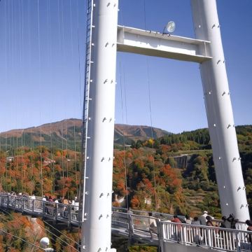 福冈县+熊本县+鹿儿岛县7日私家团 福冈县+熊本县+鹿儿岛县7日私家团