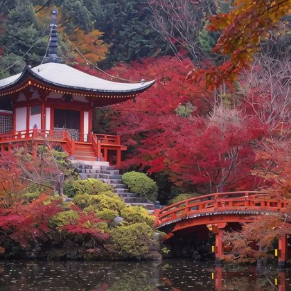 湖南长沙+韶山+橘子洲+株洲方特欢乐世界9日8晚私家团 湖南长沙+韶山+橘子洲+株洲方特欢乐世界9日8晚私家团