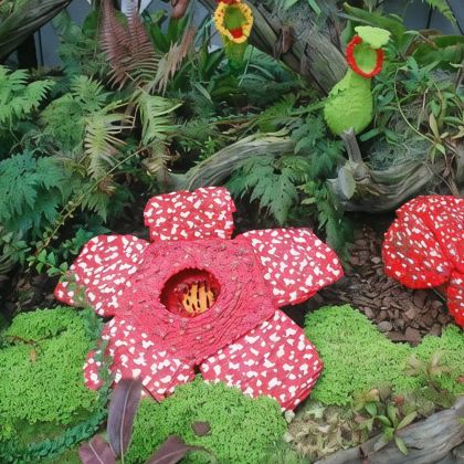 马来西亚吉隆坡+砂拉越古晋7日6晚私家团 马来西亚吉隆坡+砂拉越古晋7日6晚私家团