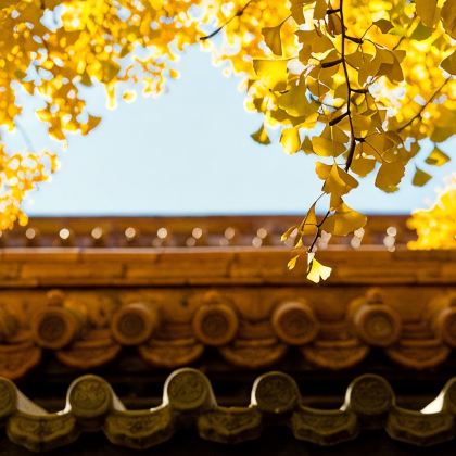 北京4日3晚自由行 北京4日3晚自由行