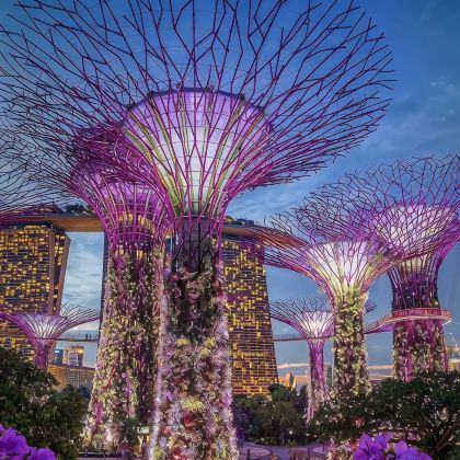 新加坡5日4晚跟团游 新加坡5日4晚跟团游