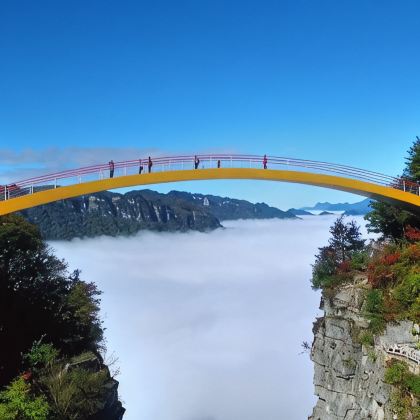 神农架+武当山3日2晚私家团 神农架+武当山3日2晚私家团