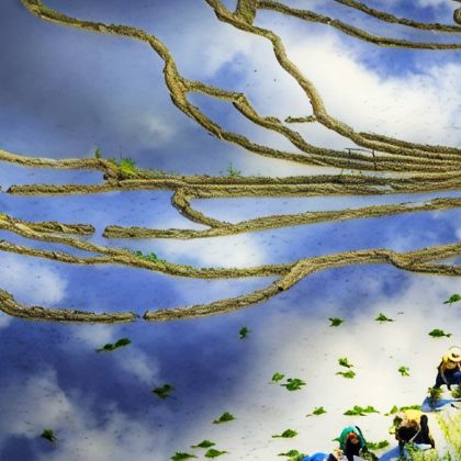 丽水+缙云+云和+景宁3日2晚私家团 丽水+缙云+云和+景宁3日2晚私家团