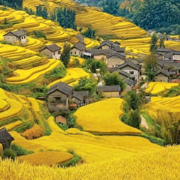 浙江丽水+缙云缙云仙都景区+云和梯田景区+景宁云中大漈+云中大漈-时思寺3日2晚私家团 浙江丽水+缙云缙云仙都景区+云和梯田景区+景宁云中大漈+云中大漈-时思寺3日2晚私家团