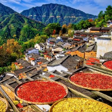 宏村+婺源篁岭景区3日2晚私家团 宏村+婺源篁岭景区3日2晚私家团