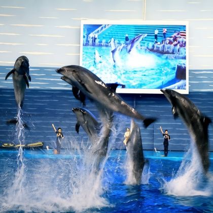 大连+金石滩+老虎滩海洋公园4日3晚私家团 大连+金石滩+老虎滩海洋公园4日3晚私家团
