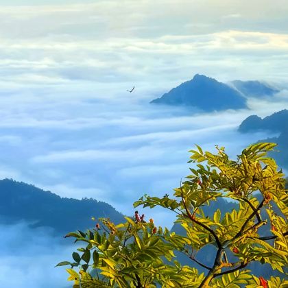 黄山风景区+徽州古城+新安江山水画廊3日2晚跟团游 黄山风景区+徽州古城+新安江山水画廊3日2晚跟团游
