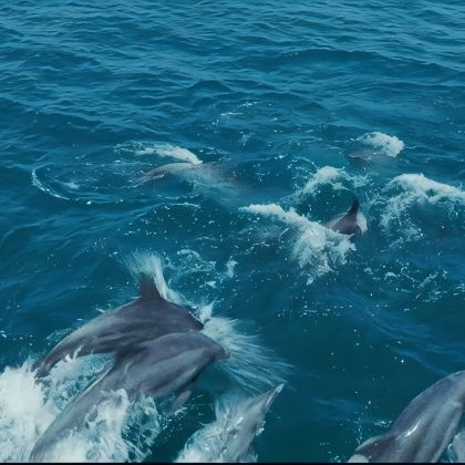 韩国首尔+釜山+济州岛6日5晚拼小团 韩国首尔+釜山+济州岛6日5晚拼小团