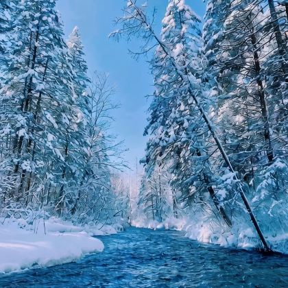 哈尔滨+雪乡+延吉+长白山6日5晚跟团游 哈尔滨+雪乡+延吉+长白山6日5晚跟团游