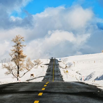 新疆北疆+喀纳斯6日5晚私家团 新疆北疆+喀纳斯6日5晚私家团