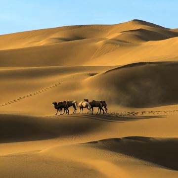 新疆乌鲁木齐+吐鲁番+库木塔格沙漠+火焰山景区+葡萄沟+交河故城+坎儿井民俗园5日4晚私家团 新疆乌鲁木齐+吐鲁番+库木塔格沙漠+火焰山景区+葡萄沟+交河故城+坎儿井民俗园5日4晚私家团