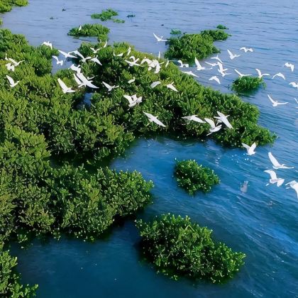 户外活动·海口+万宁+三亚6日寒假亲子营|亲近湿地生态圈·出海捞海星·火箭发射VR·摘椰子·椰林桨板·冲浪考证·咖啡制作·喂食魔鬼鱼·小众海岛2选1『寓教于乐』航天科普中心+南海博物馆 户外活动·海口+万宁+三亚6日寒假亲子营|亲近湿地生态圈·出海捞海星·火箭发射VR·摘椰子·椰林桨板·冲浪考证·咖啡制作·喂食魔鬼鱼·小众海岛2选1『寓教于乐』航天科普中心+南海博物馆