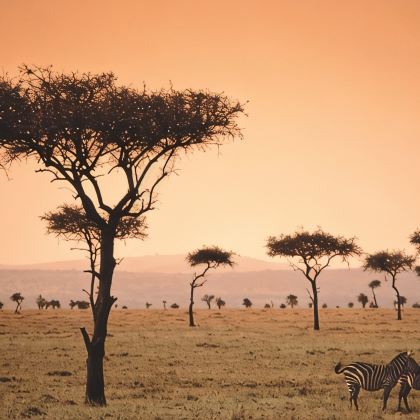 肯尼亚+坦桑尼亚8日6晚私家团 肯尼亚+坦桑尼亚8日6晚私家团