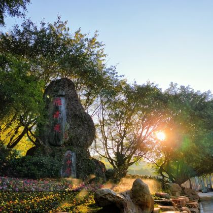 梅州+雁南飞茶田景区2日1晚自由行 梅州+雁南飞茶田景区2日1晚自由行