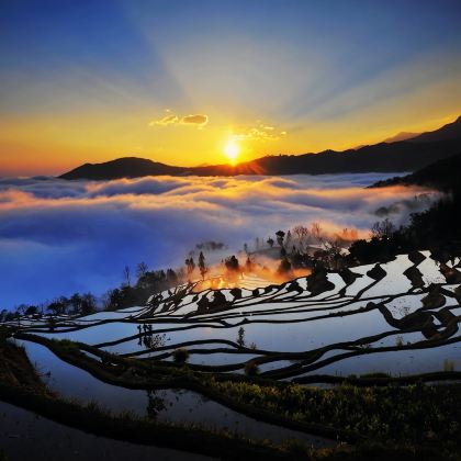 昆明+西双版纳+罗平+普者黑景区+元阳哈尼梯田9日8晚私家团 昆明+西双版纳+罗平+普者黑景区+元阳哈尼梯田9日8晚私家团