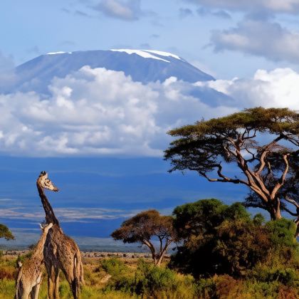 肯尼亚11日9晚拼小团 肯尼亚11日9晚拼小团