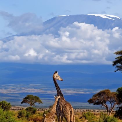 肯尼亚11日9晚拼小团 肯尼亚11日9晚拼小团