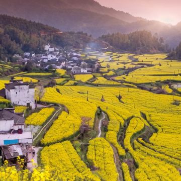 江西南昌+庐山+景德镇+婺源+三清山风景区+望仙谷5日4晚拼小团 江西南昌+庐山+景德镇+婺源+三清山风景区+望仙谷5日4晚拼小团