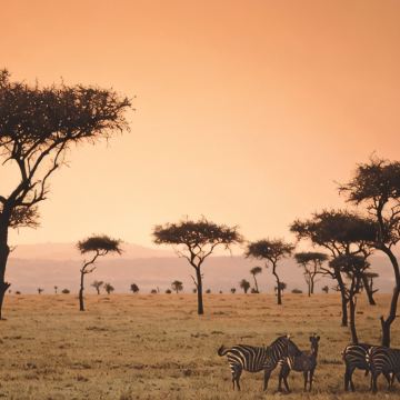 肯尼亚+内罗毕12日9晚私家团 肯尼亚+内罗毕12日9晚私家团