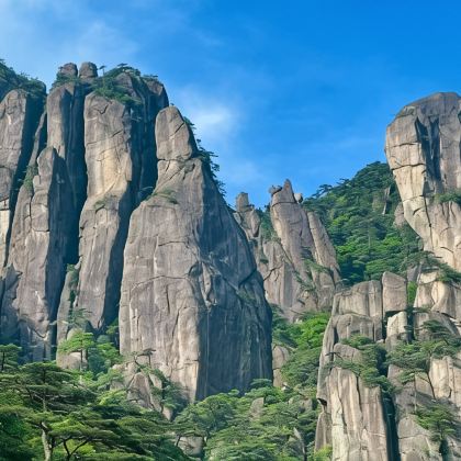 庐山+景德镇+婺源篁岭景区+黄山+宏村6日5晚跟团游 庐山+景德镇+婺源篁岭景区+黄山+宏村6日5晚跟团游