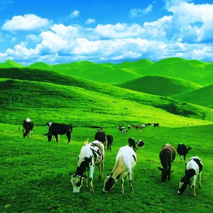 南山牧场+黄桑国家级自然保护区+曲幽谷+上堡古国3日2晚跟团游 南山牧场+黄桑国家级自然保护区+曲幽谷+上堡古国3日2晚跟团游