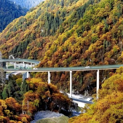 西宁+佑宁寺+彩虹部落土族园+油嘴湾花海+北山国家森林公园+扎碾公路+民和县喇家遗址博物馆+瞿昙寺+青海柳湾彩陶博物馆4日3晚私家团 西宁+佑宁寺+彩虹部落土族园+油嘴湾花海+北山国家森林公园+扎碾公路+民和县喇家遗址博物馆+瞿昙寺+青海柳湾彩陶博物馆4日3晚私家团