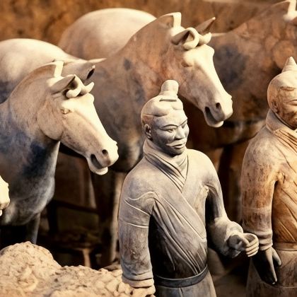 中国临汾山西黄河壶口瀑布旅游区6日5晚跟团游 中国临汾山西黄河壶口瀑布旅游区6日5晚跟团游