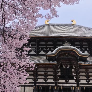 日本大阪+京都+奈良6日5晚私家团 日本大阪+京都+奈良6日5晚私家团