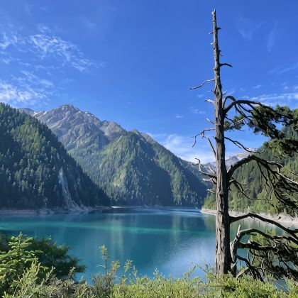 成都+九寨沟+四姑娘山景区+毕棚沟+达古冰川风景名胜区7日6晚拼小团 成都+九寨沟+四姑娘山景区+毕棚沟+达古冰川风景名胜区7日6晚拼小团