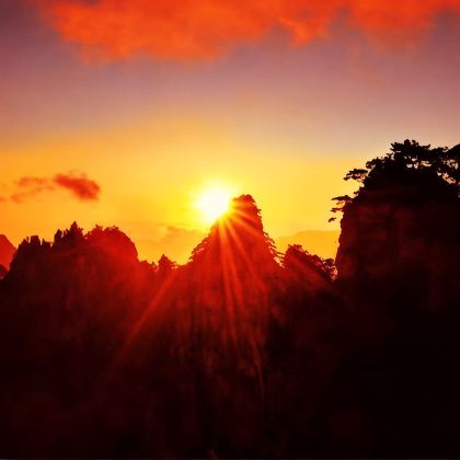 黄山风景区+婺源篁岭4日3晚跟团游 黄山风景区+婺源篁岭4日3晚跟团游